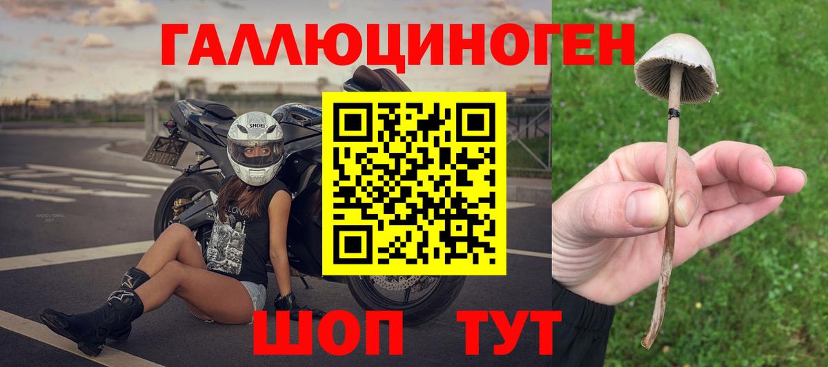 купить   Галлюциногенные грибы Cubensis  Вход с VPN  Междуреченск 
